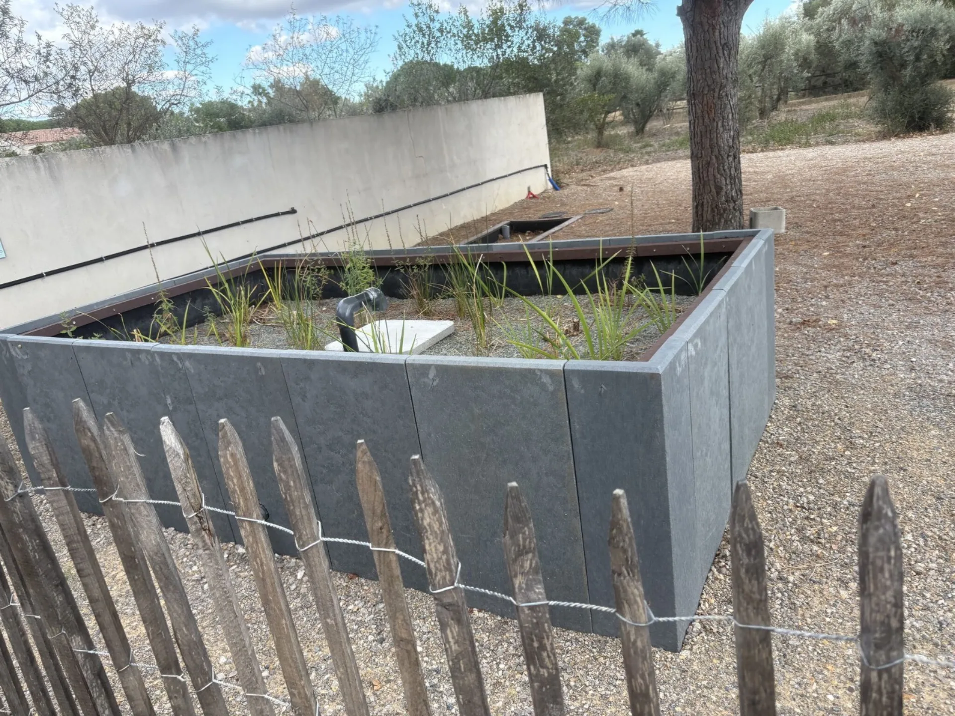 Bassin vertical de phytostation avec finition bardage ardoise gris foncé, intégration méditerranéenne en oliveraie