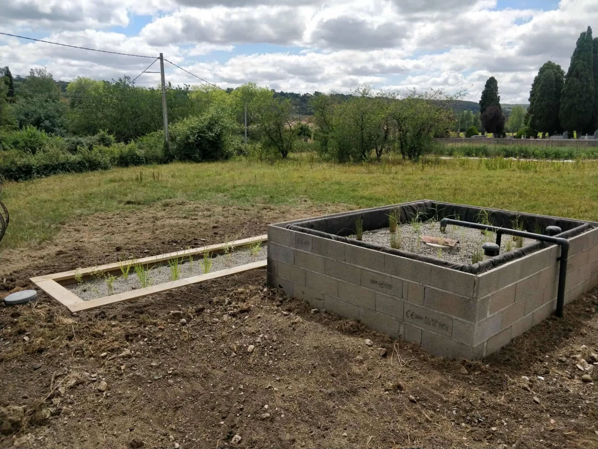 Phytostation en finition béton brut, jeunes plants en cours d'installation