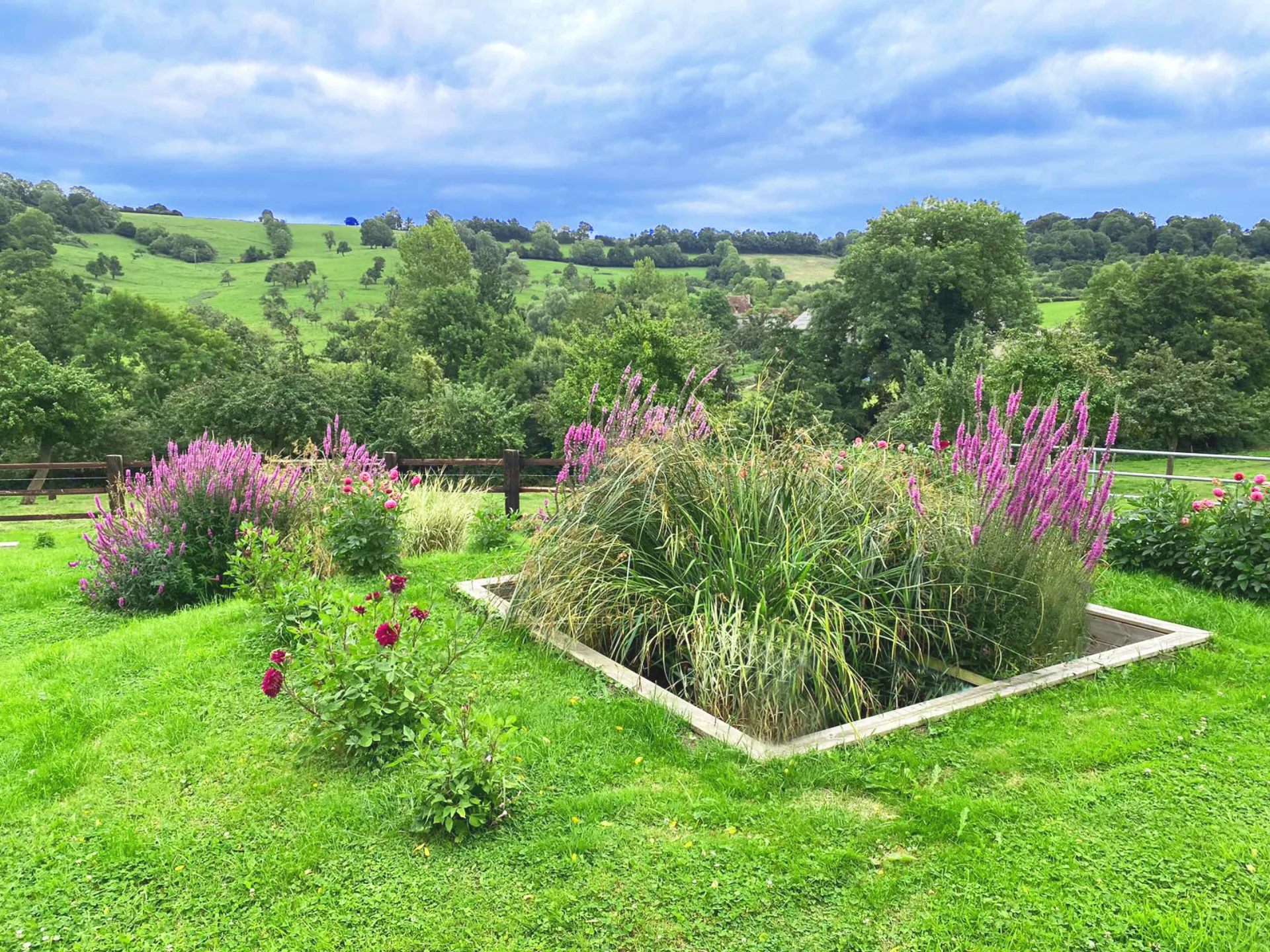 Phytoépuration intégrée dans un jardin paysager fleuri avec vue sur la campagne